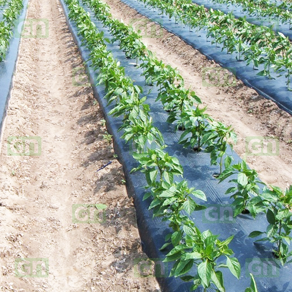 Nonwoven Polypropylene Mulch Cover