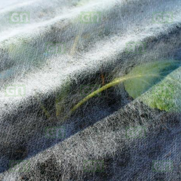 Frost Protection Cover (Agril / Nonwoven PP)