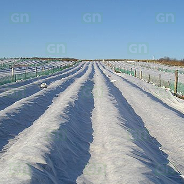 Frost Protection Cover (Agril / Nonwoven PP)