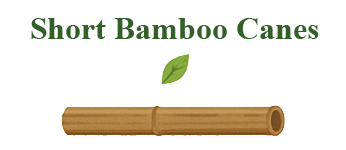 Kısa Bambular